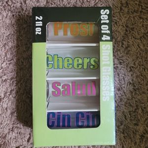 Glass Shot Glass Set